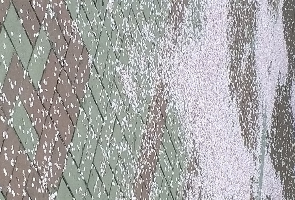 KakaoTalk_20220407_182939359 (2).jpg