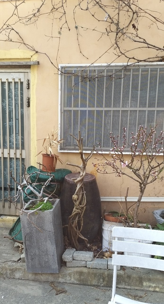 KakaoTalk_20220324_202158468 (2).jpg