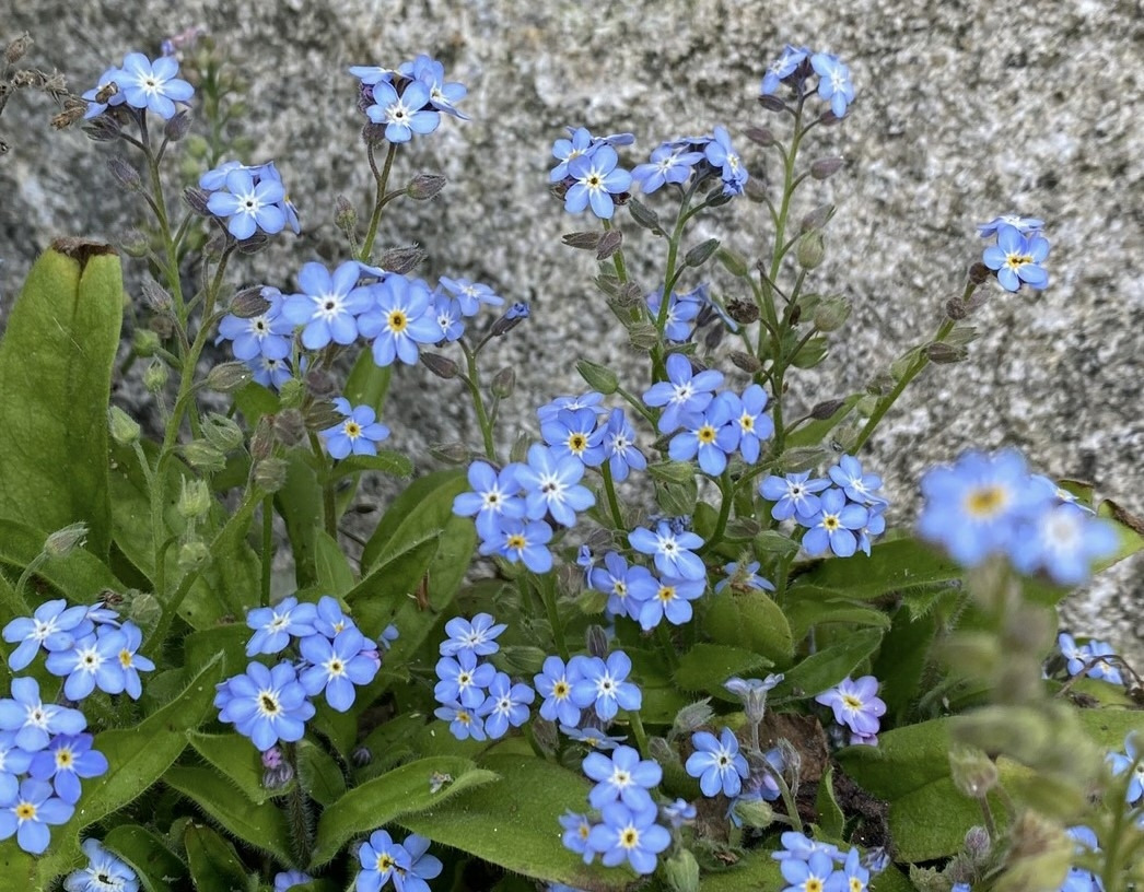 KakaoTalk_20220506_100723246_10 (2).jpg