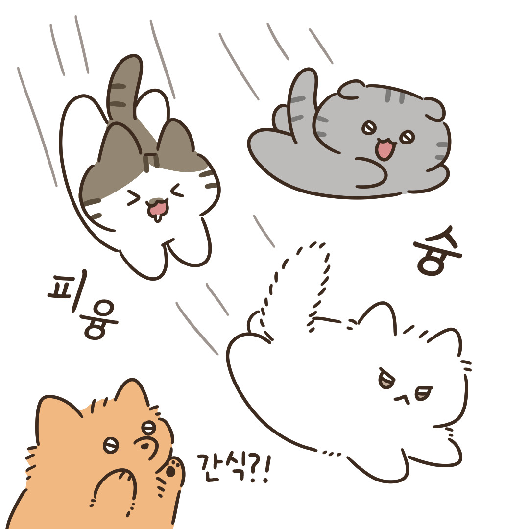 7_냥이에게 뽀시락이란_4.jpg