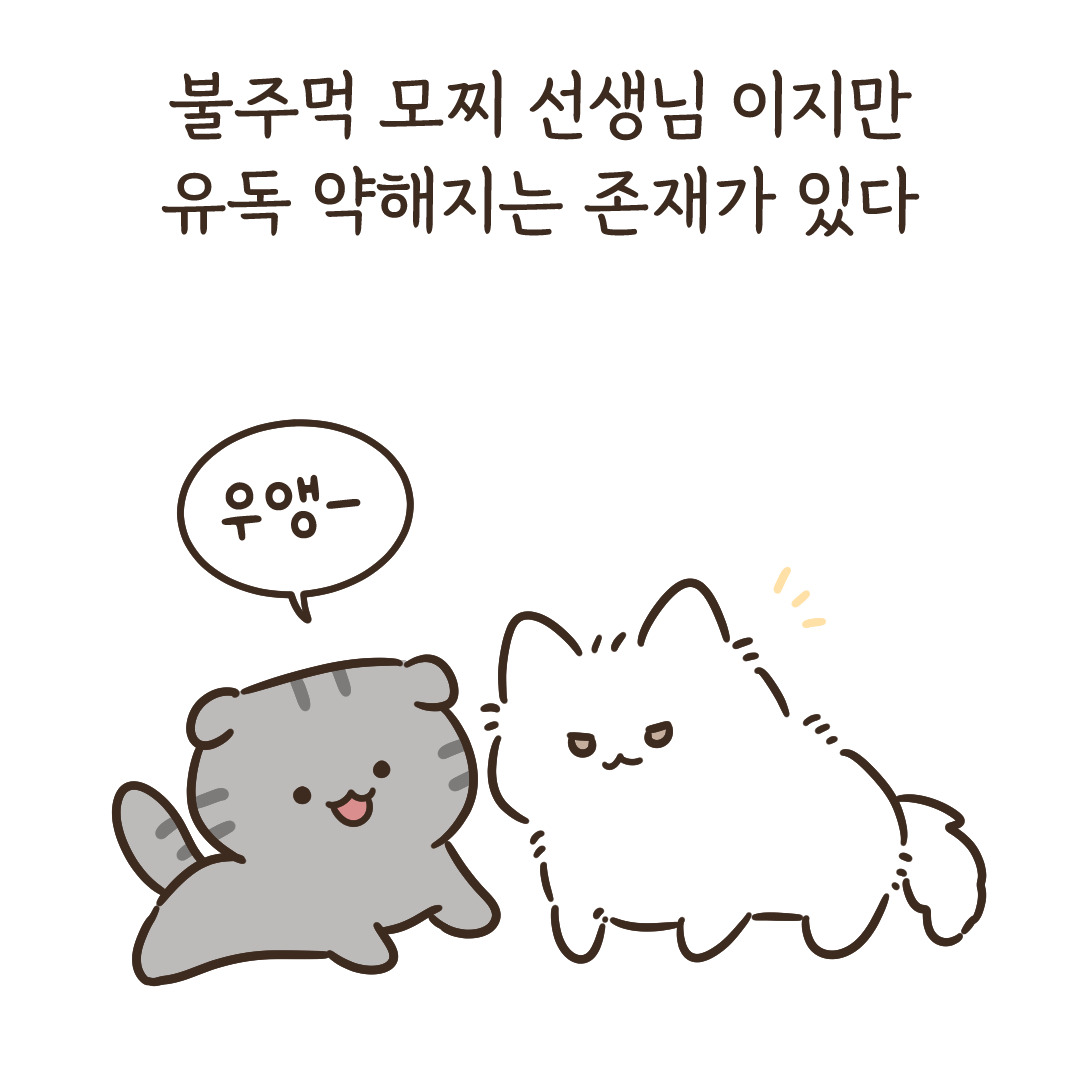 8_너네 대체 무슨 사이야_3.jpg