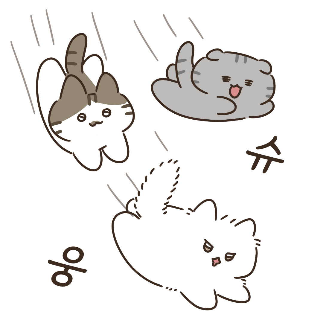 7_냥이에게 뽀시락이란_7.jpg