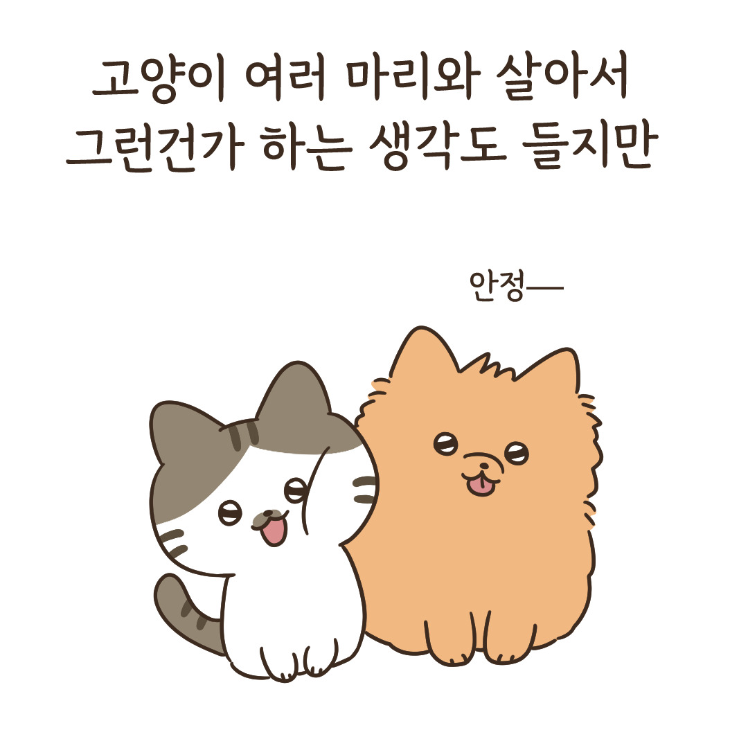 1_강아지의mbti_9.jpg