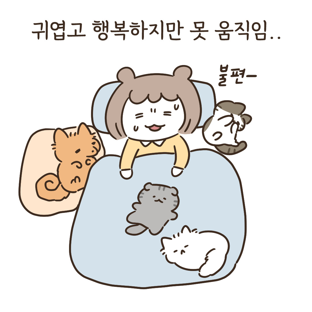 4_집사를 써먹는 방법_3.jpg