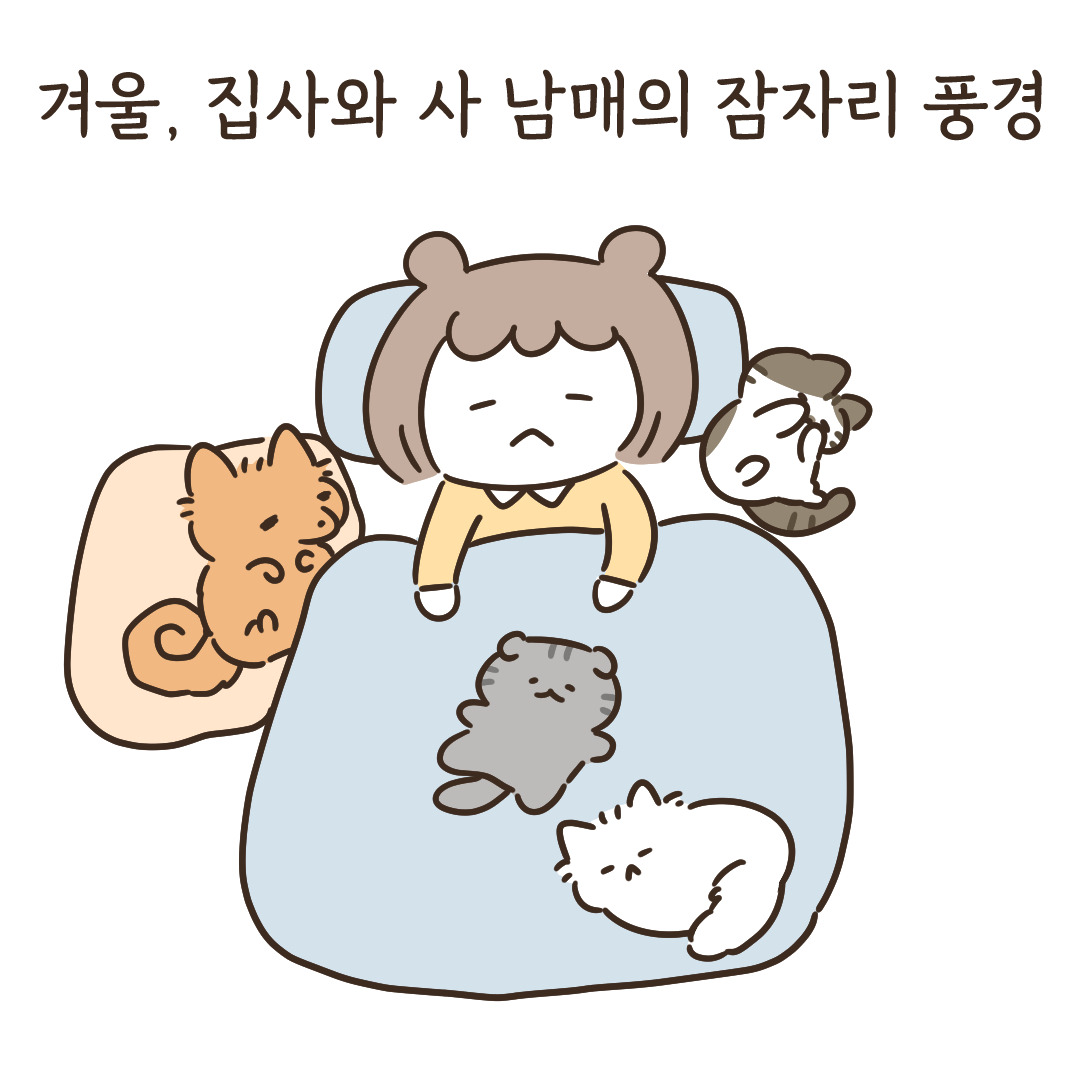 4_집사를 써먹는 방법_2.jpg