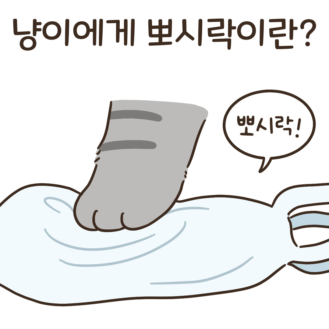 7_냥이에게 뽀시락이란_1.jpg