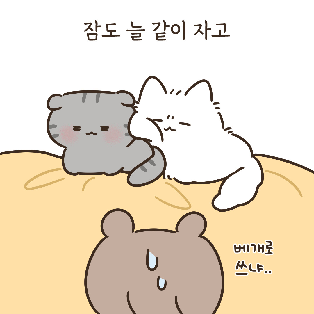 8_너네 대체 무슨 사이야_6.jpg