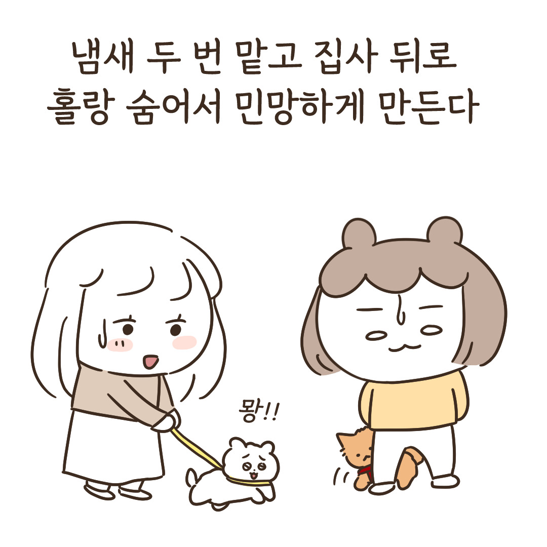1_강아지의mbti_7.jpg