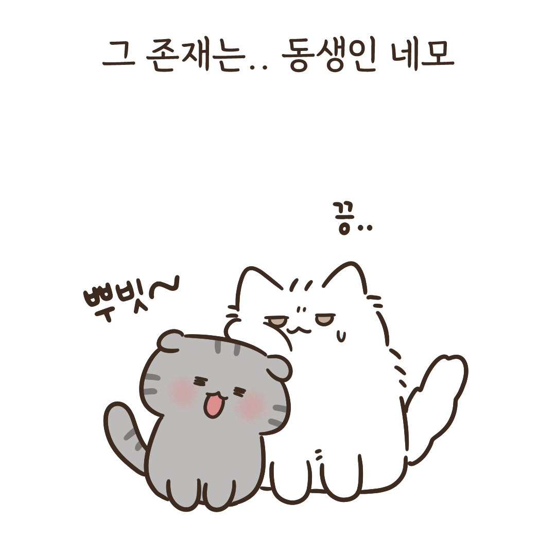 8_너네 대체 무슨 사이야_4.jpg