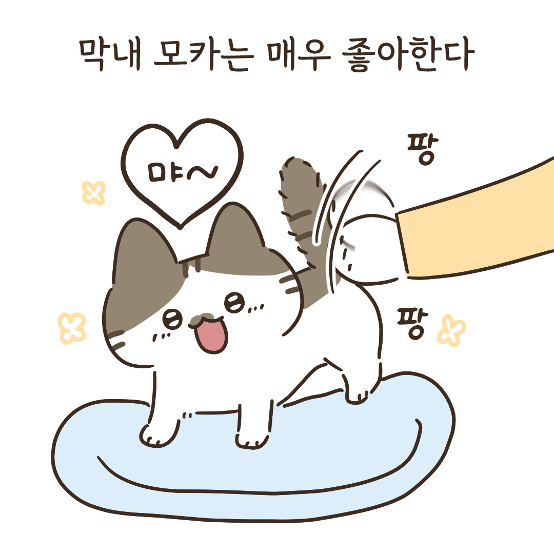 5_궁디팡팡 호불호_3.jpg