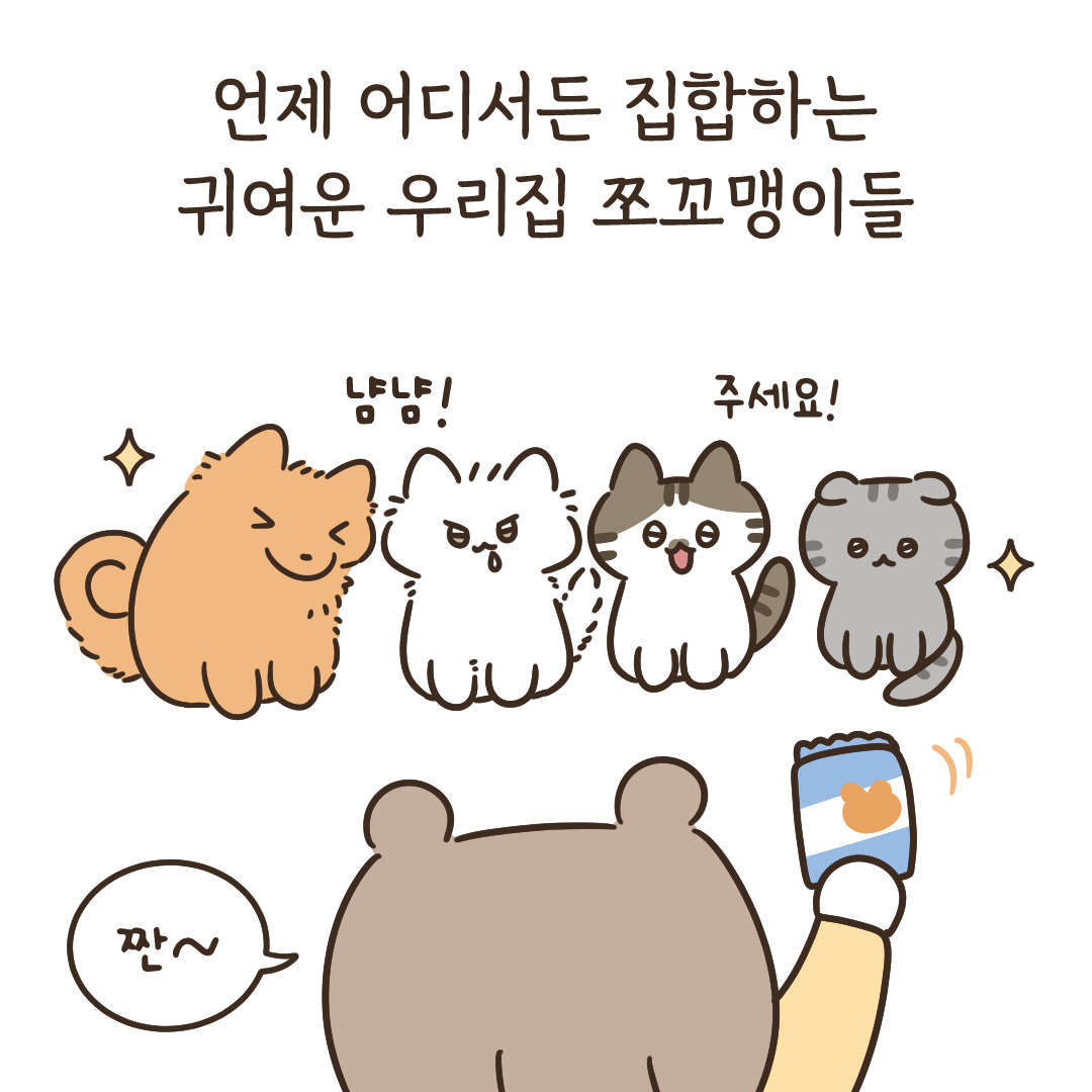 7_냥이에게 뽀시락이란_5.jpg