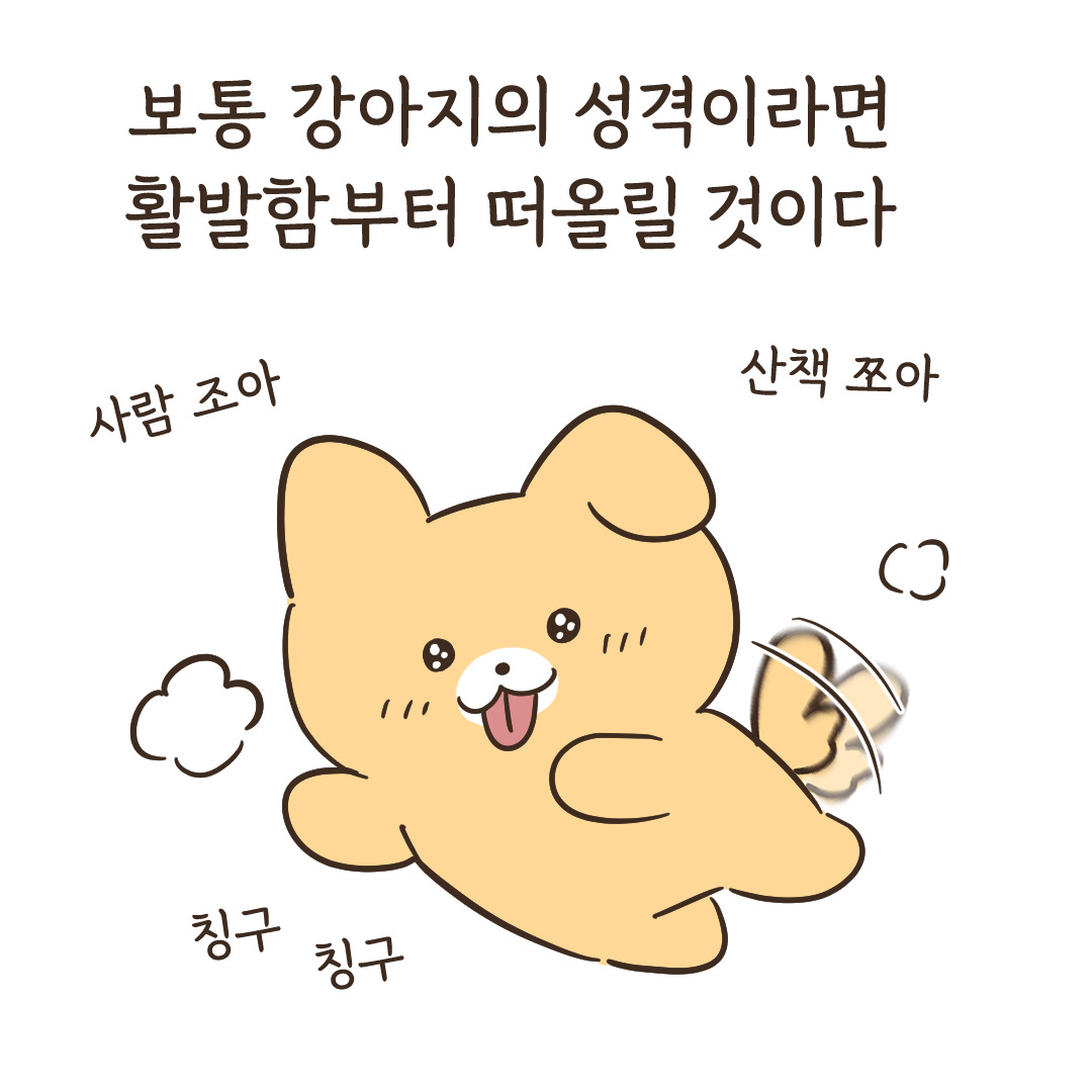 1_강아지의mbti_2.jpg
