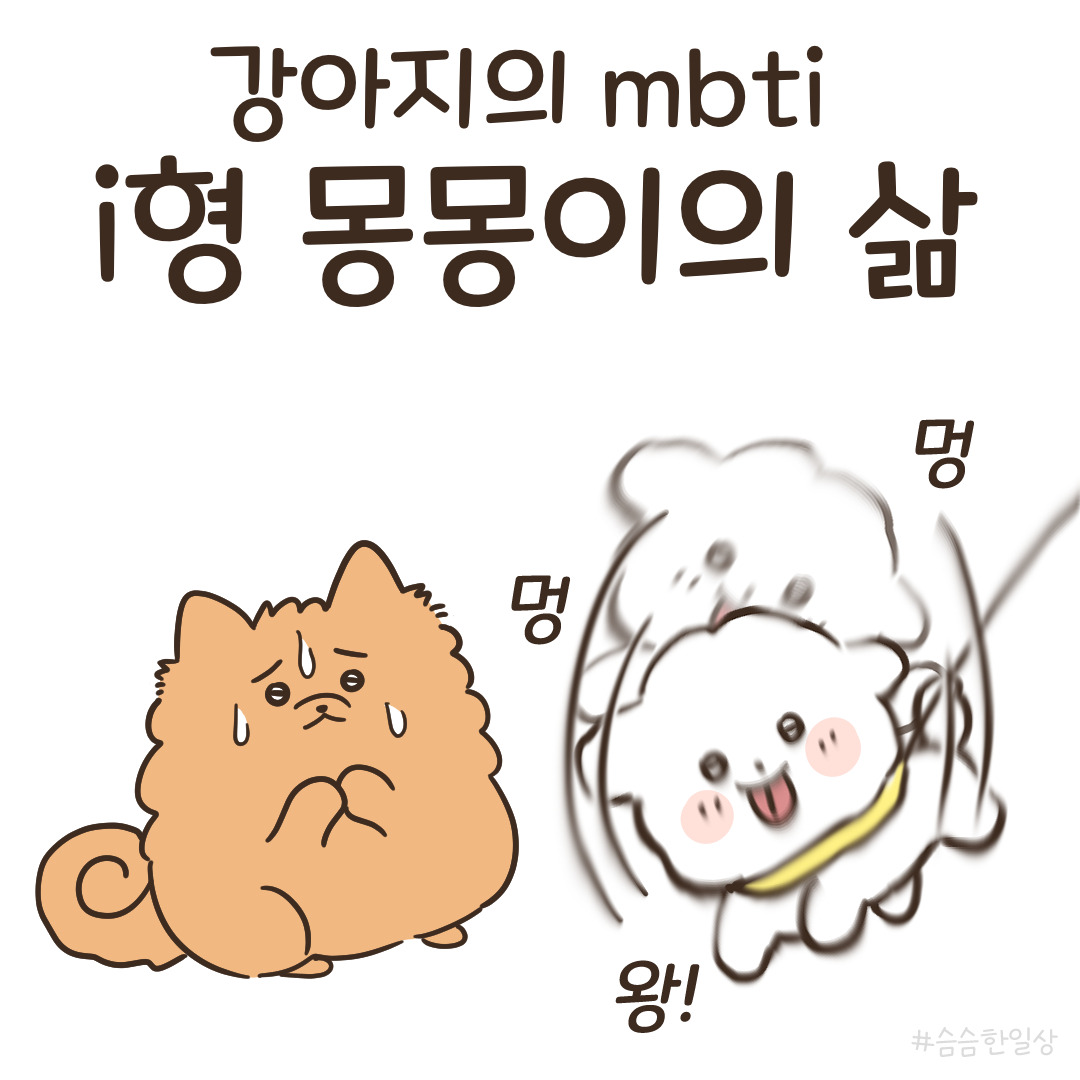 1_강아지의mbti_1.jpg