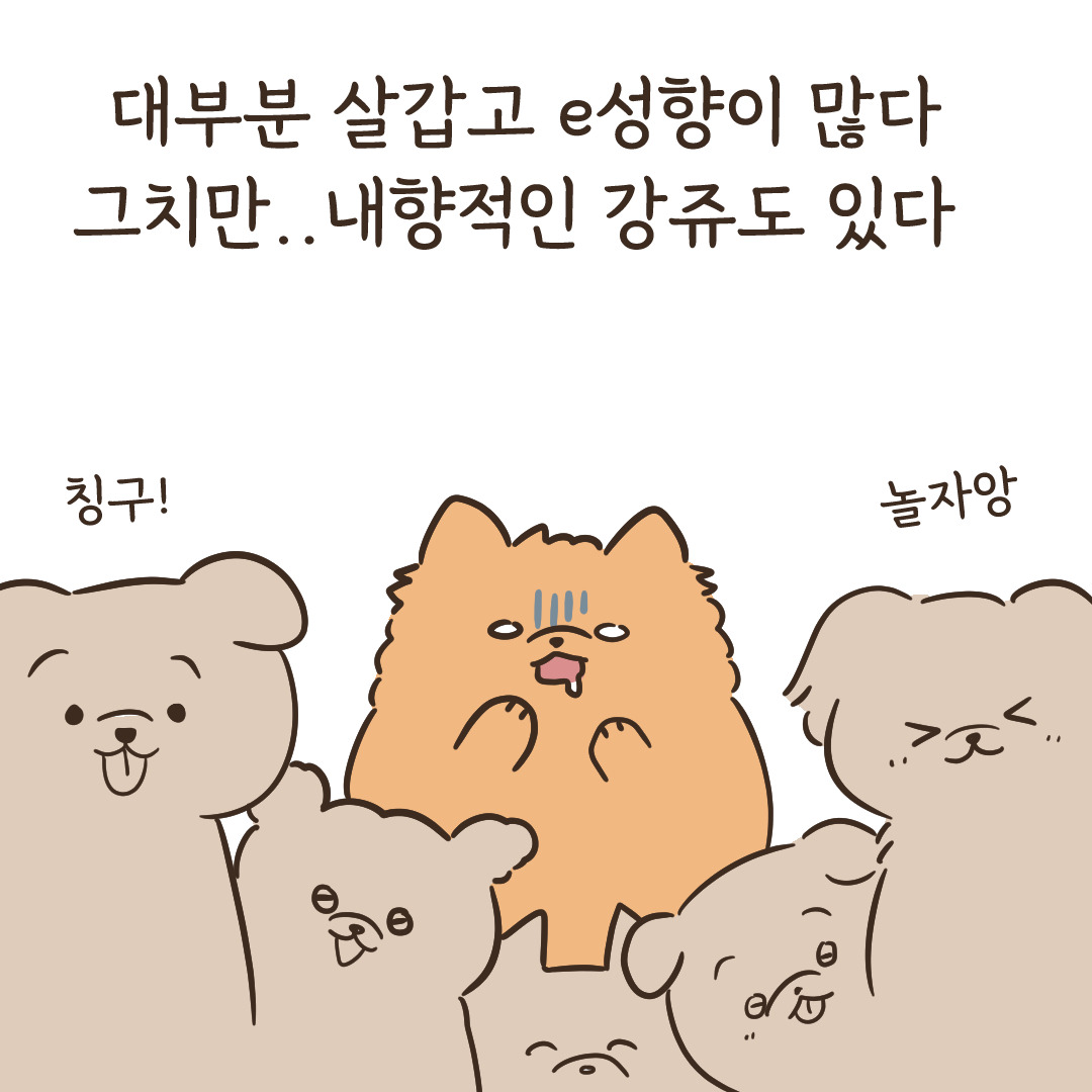 1_강아지의mbti_3.jpg