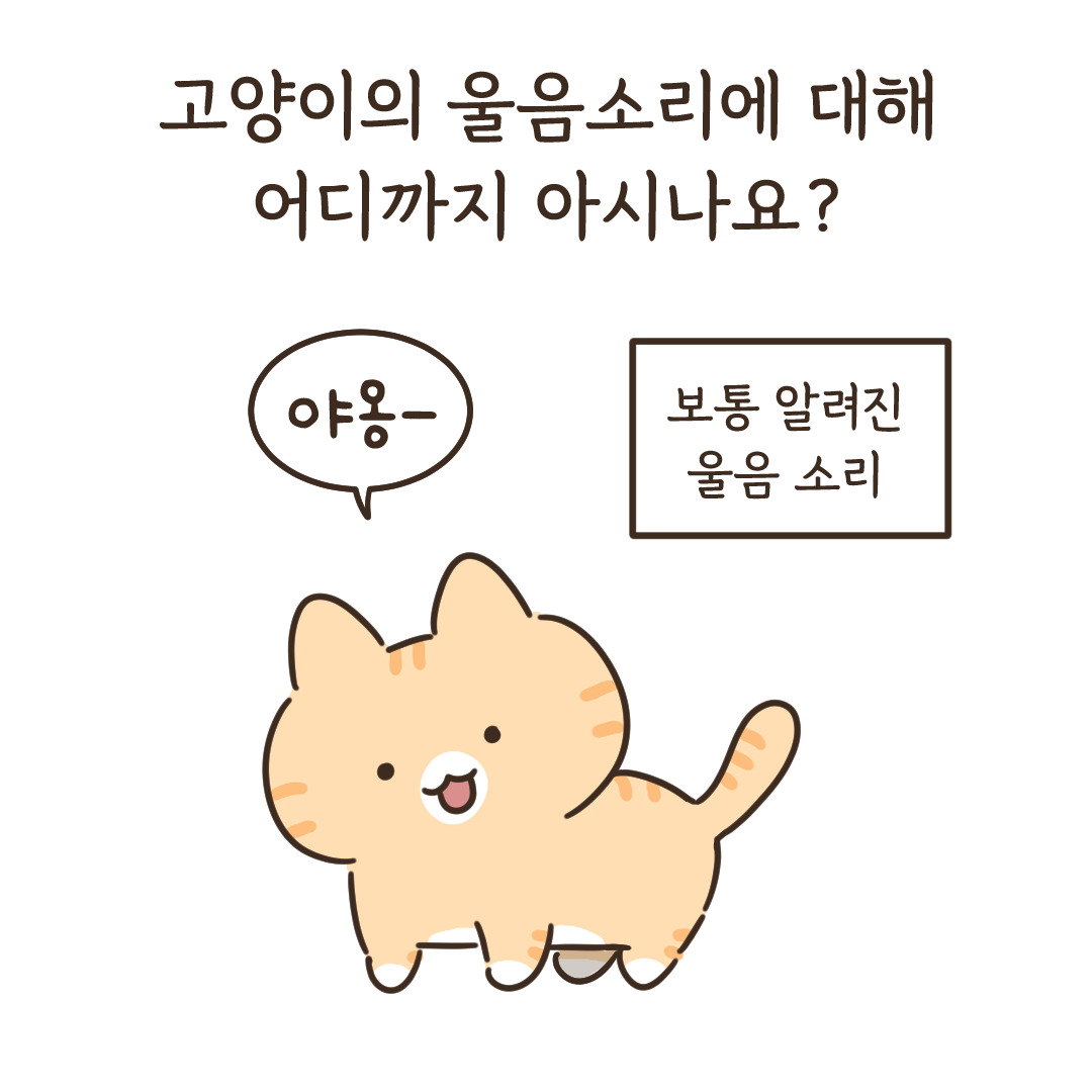 3_너의 목소리가 들려_2.jpg