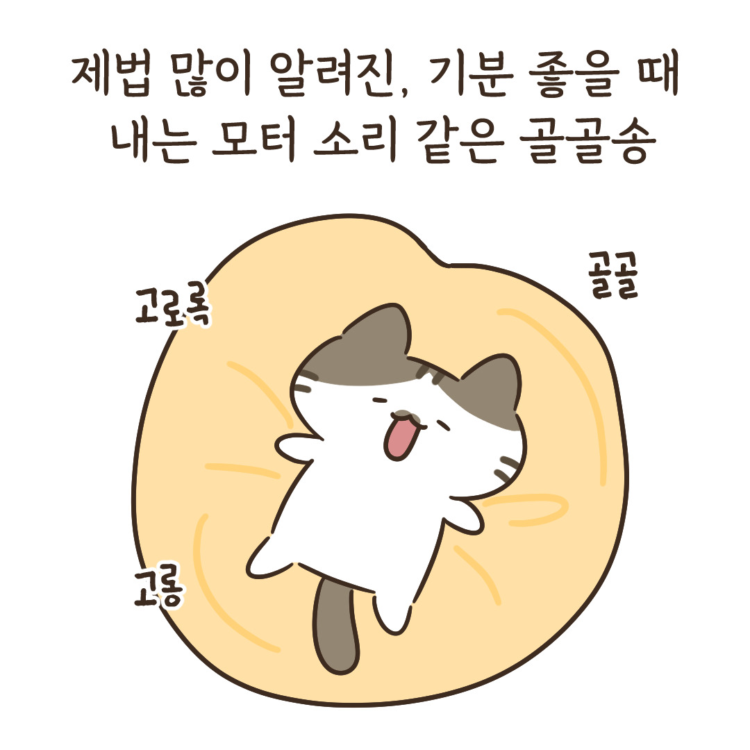 3_너의 목소리가 들려_5.jpg