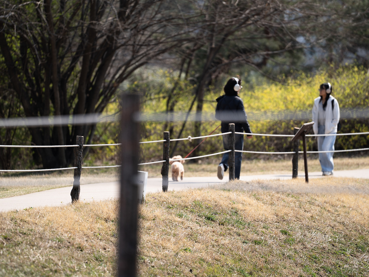 올림픽공원 (1).jpg