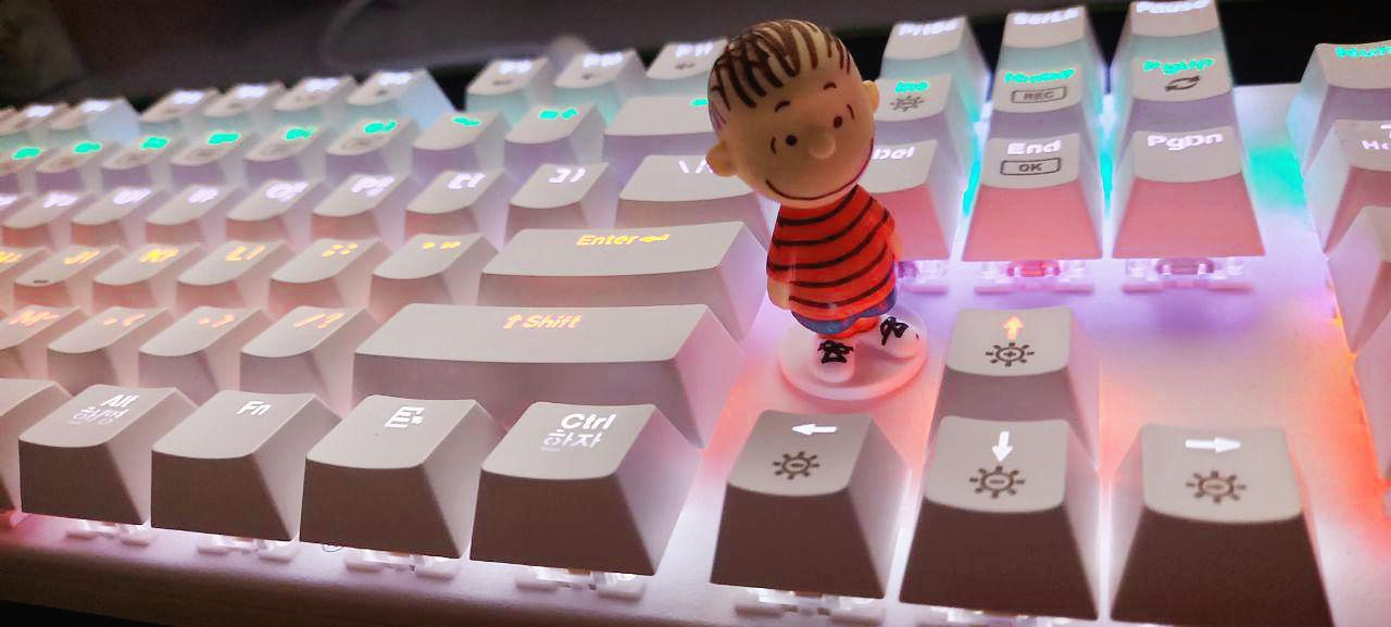 photo6269037774409673345 (1).jpg