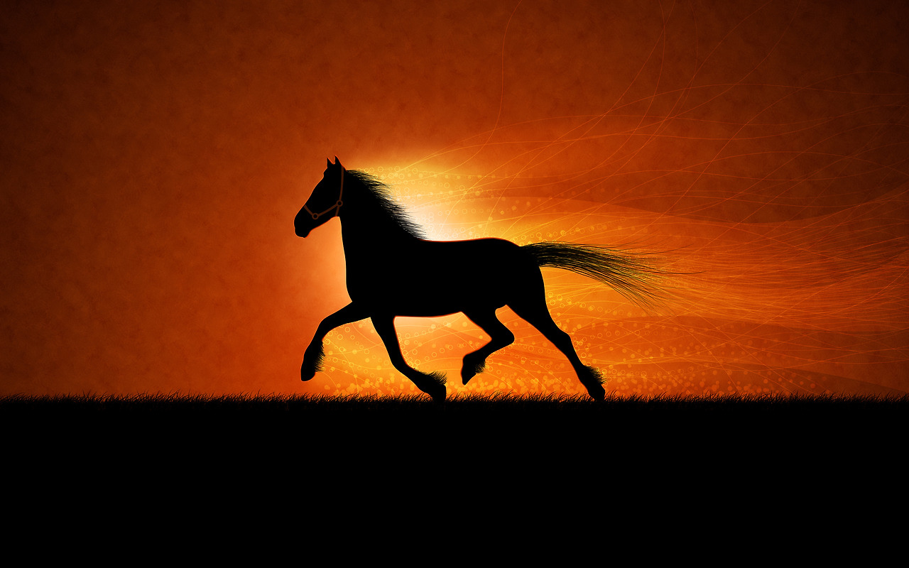 Photoshop_Image_of_the_horse_053857_.jpg