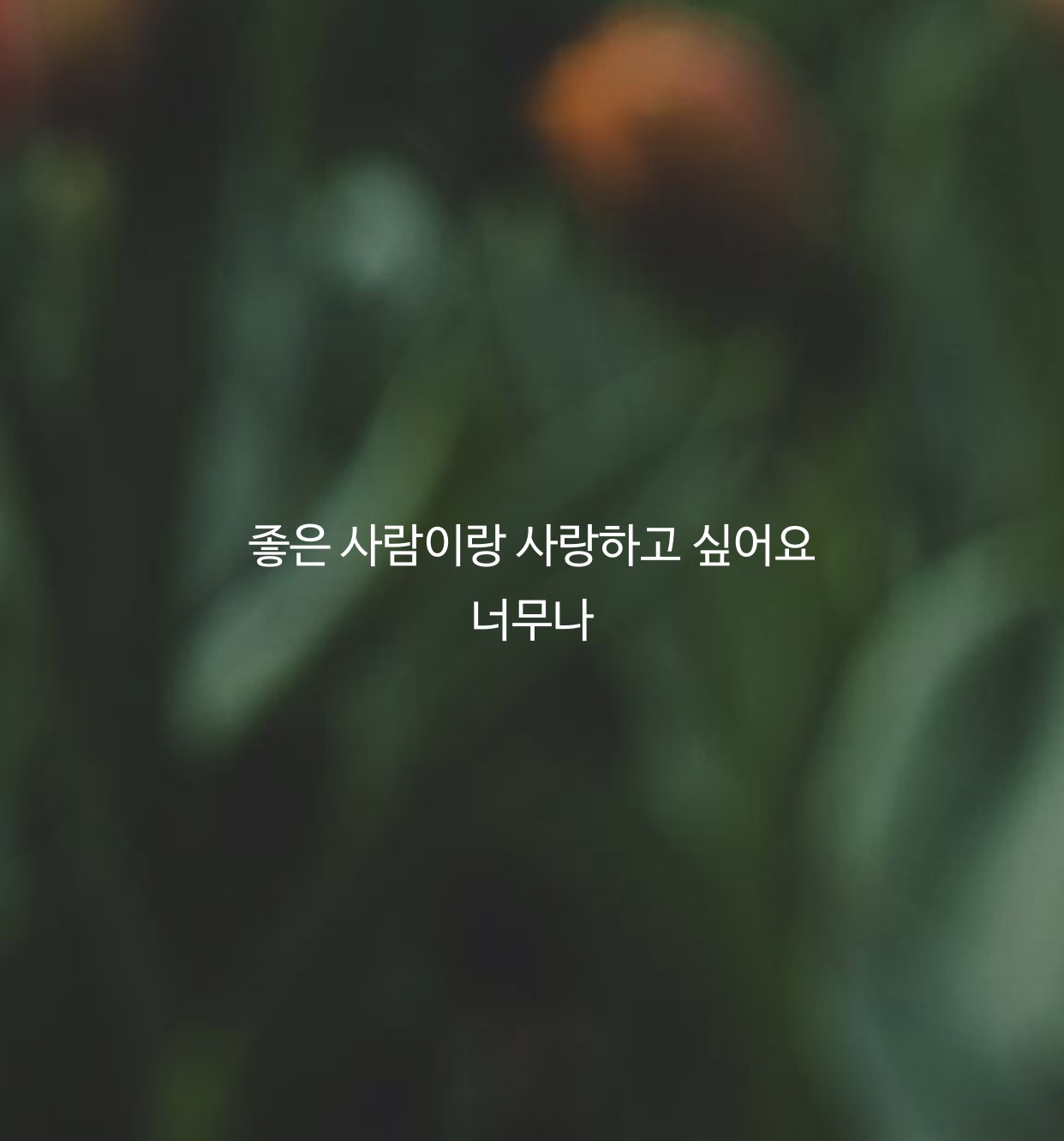 FullSizeRender 9.jpg