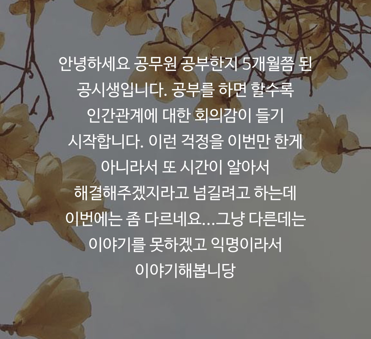 FullSizeRender 8.jpg