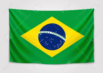브라질 국기.jpg