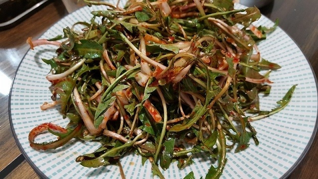 민들레%20무침.jpg