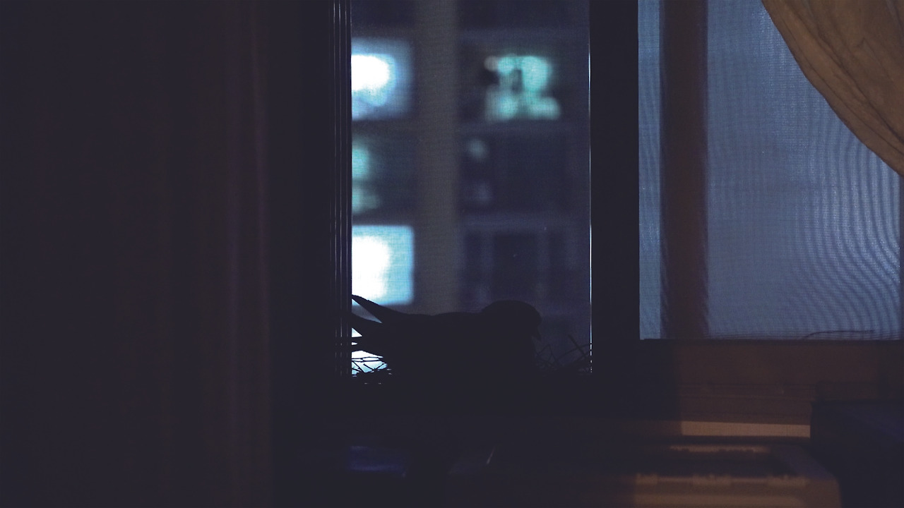 스크린 뒤의 무단점유자들_스틸이미지2.jpg