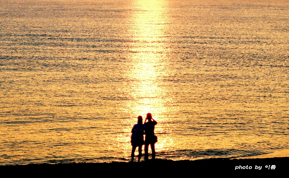 사랑의 해부.jpg