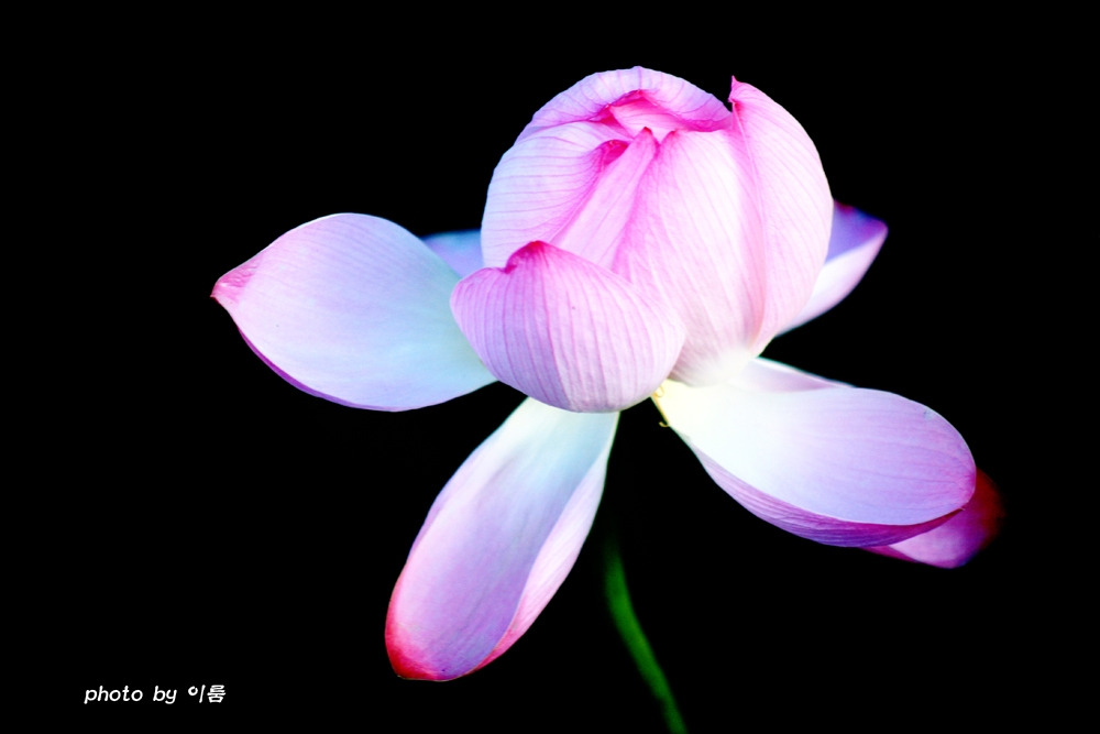 사진의 기초2.jpg