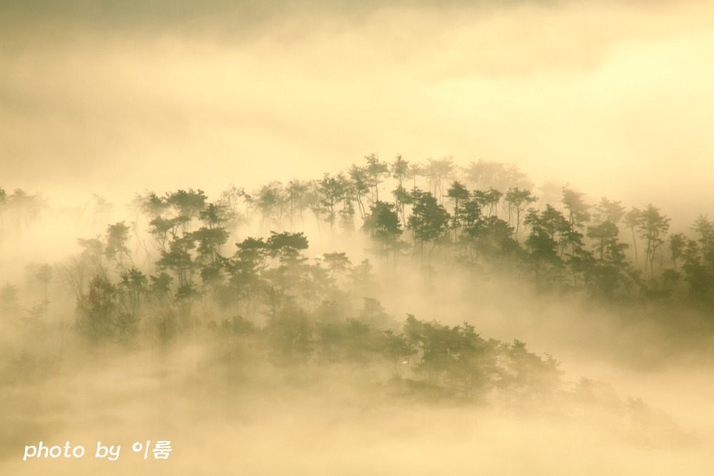 빛,구름,비,그리고 안개.jpg