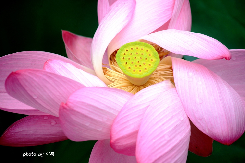 사진의 기초3.jpg