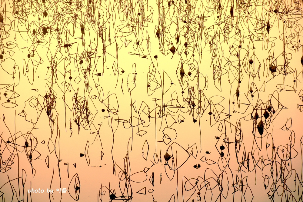 사진의 기초4.jpg