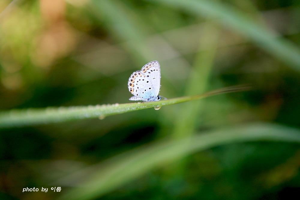 사진의 기초1.jpg
