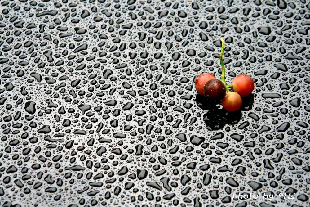 패턴의 추구 변화의 추구.jpg