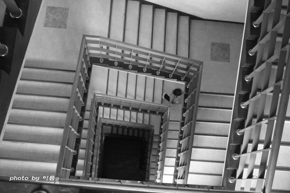 올려다보기 내려다보기.jpg