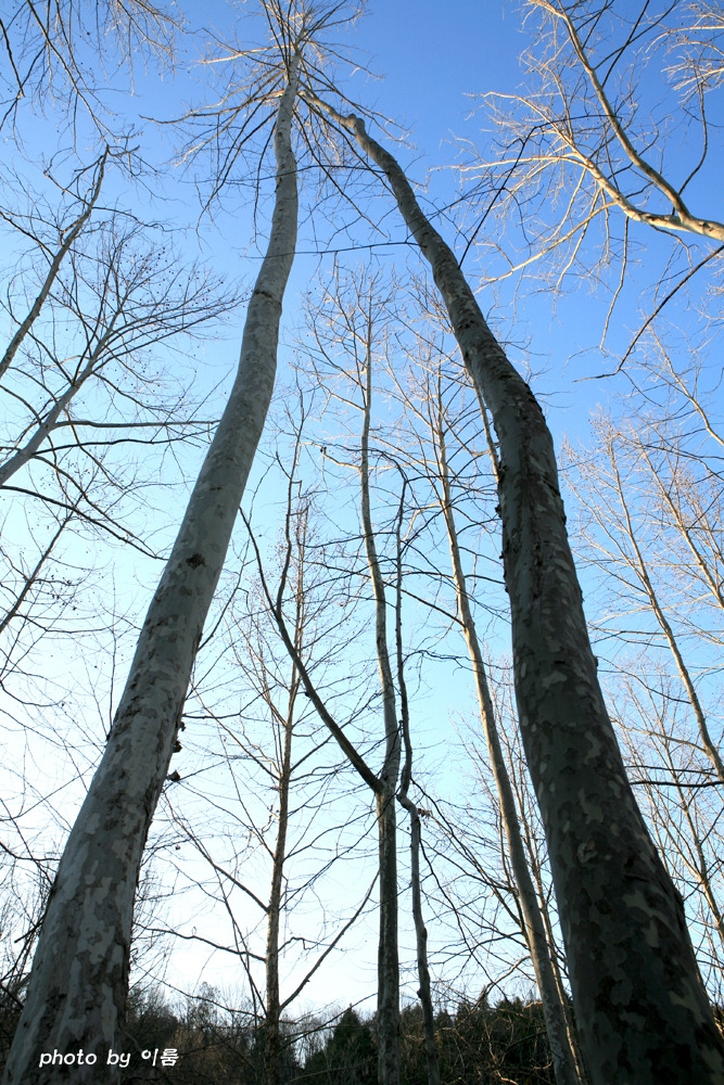 예술의 길 삶의 길.jpg