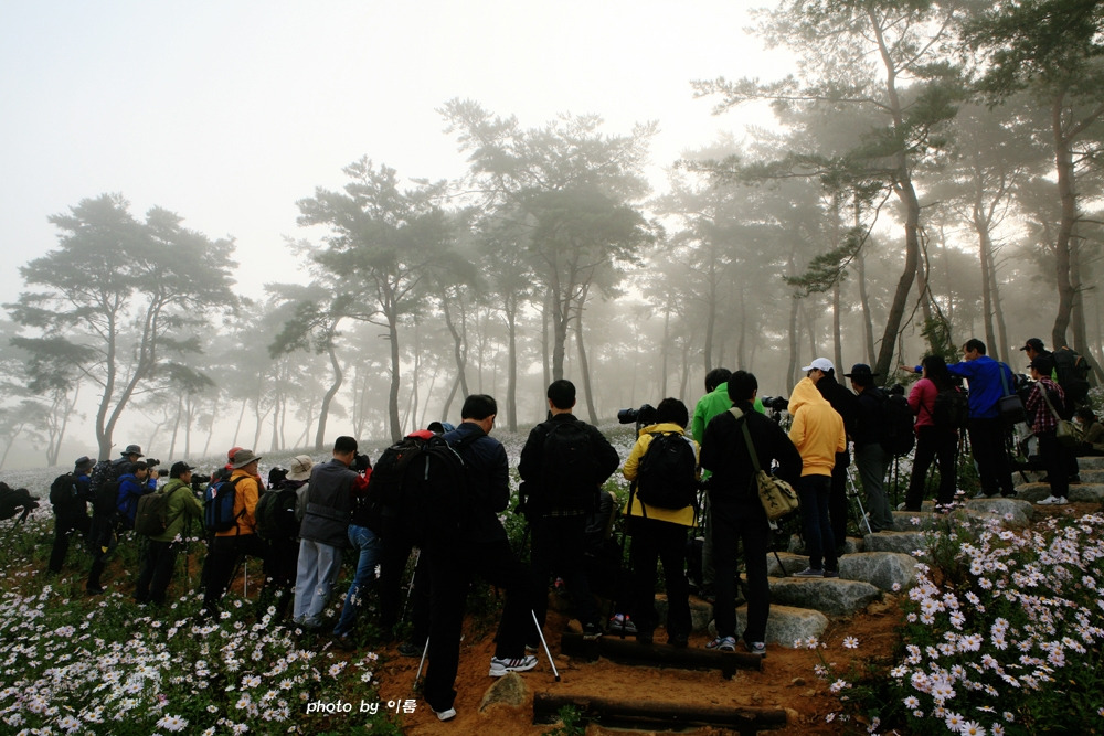 사람들은왜2 1000.jpg