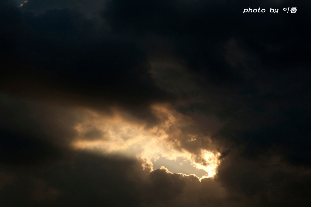 생각의 소멸1000.jpg