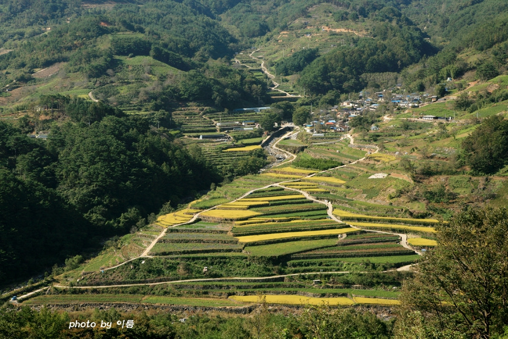 유혹에 대하여.jpg