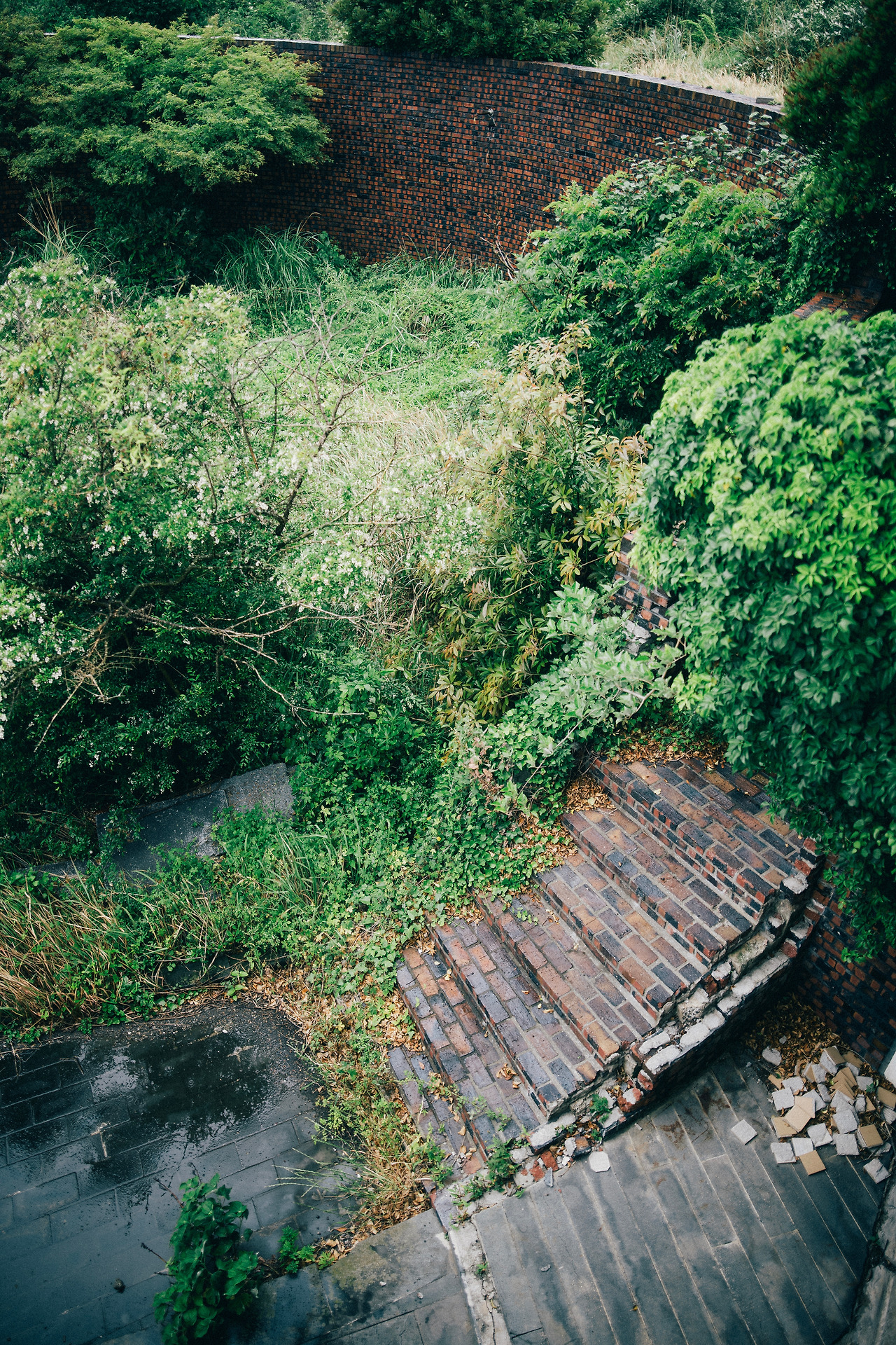 SDIM0299 복사 복사.jpg