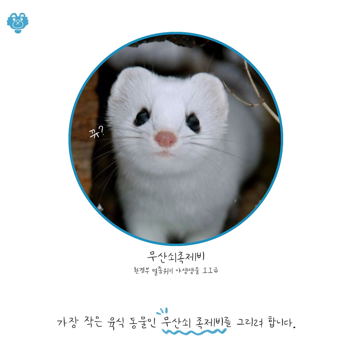 텀블벅 홍보자료2_03.jpg