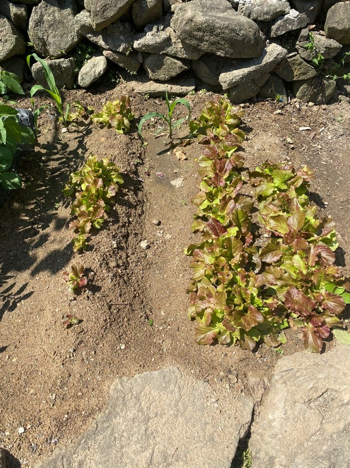 KakaoTalk_20220527_143132014_04 - 복사본.jpg