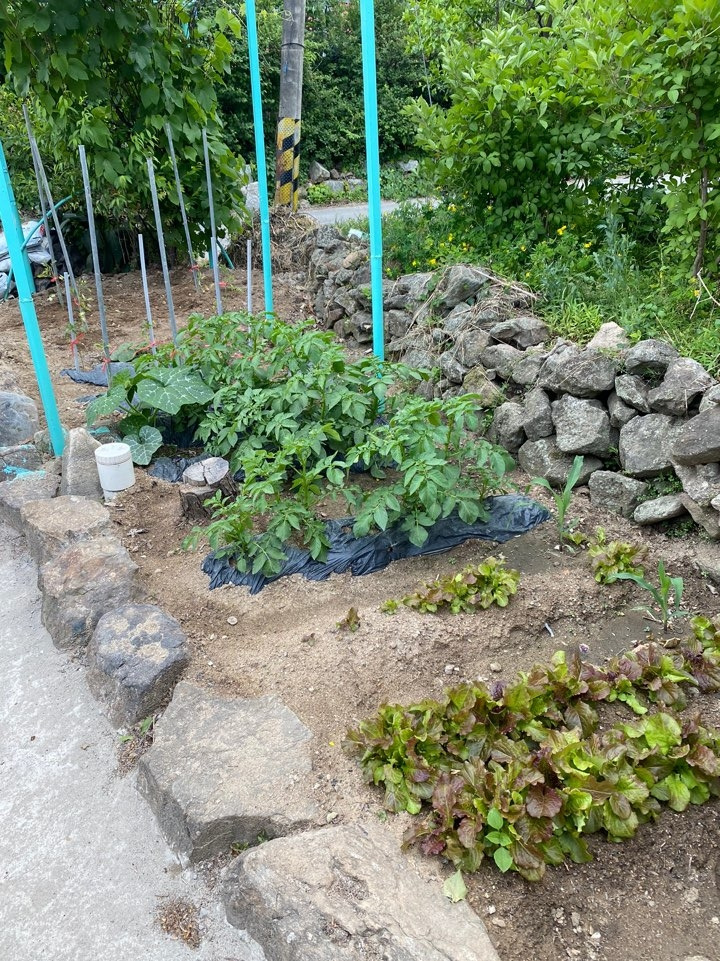 KakaoTalk_20220527_143132014 - 복사본.jpg