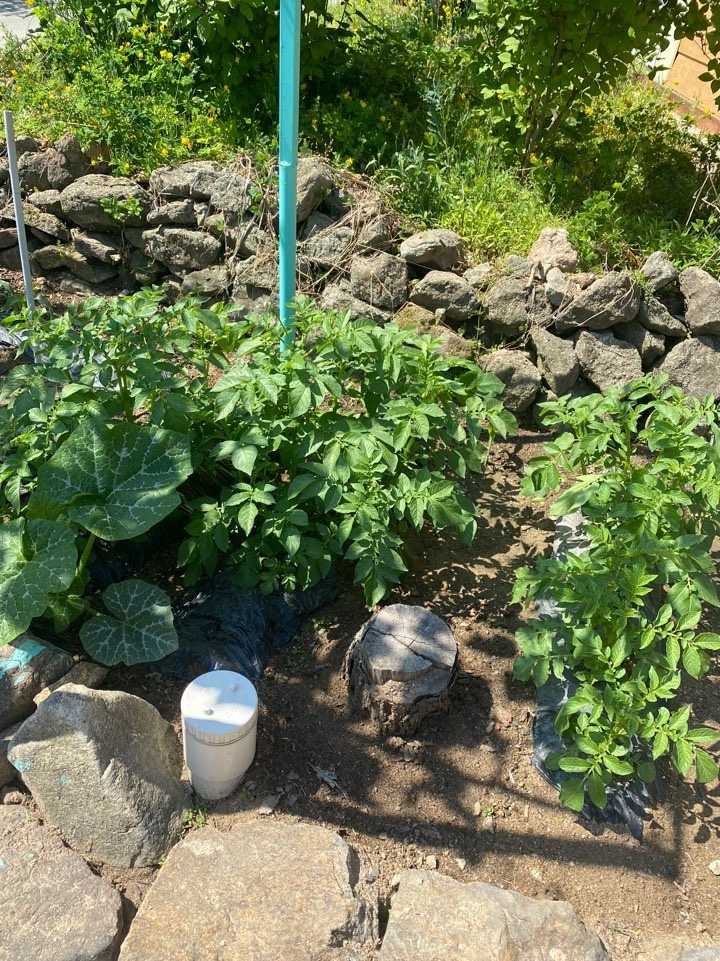 KakaoTalk_20220527_143132014_05 - 복사본.jpg