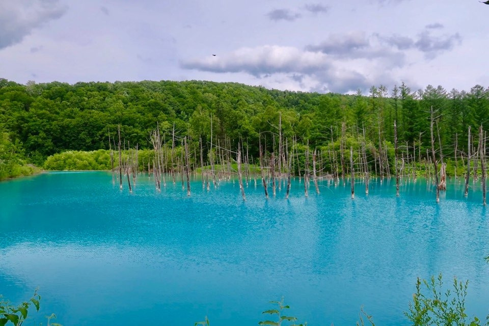 PM팀 박상길님.jpg