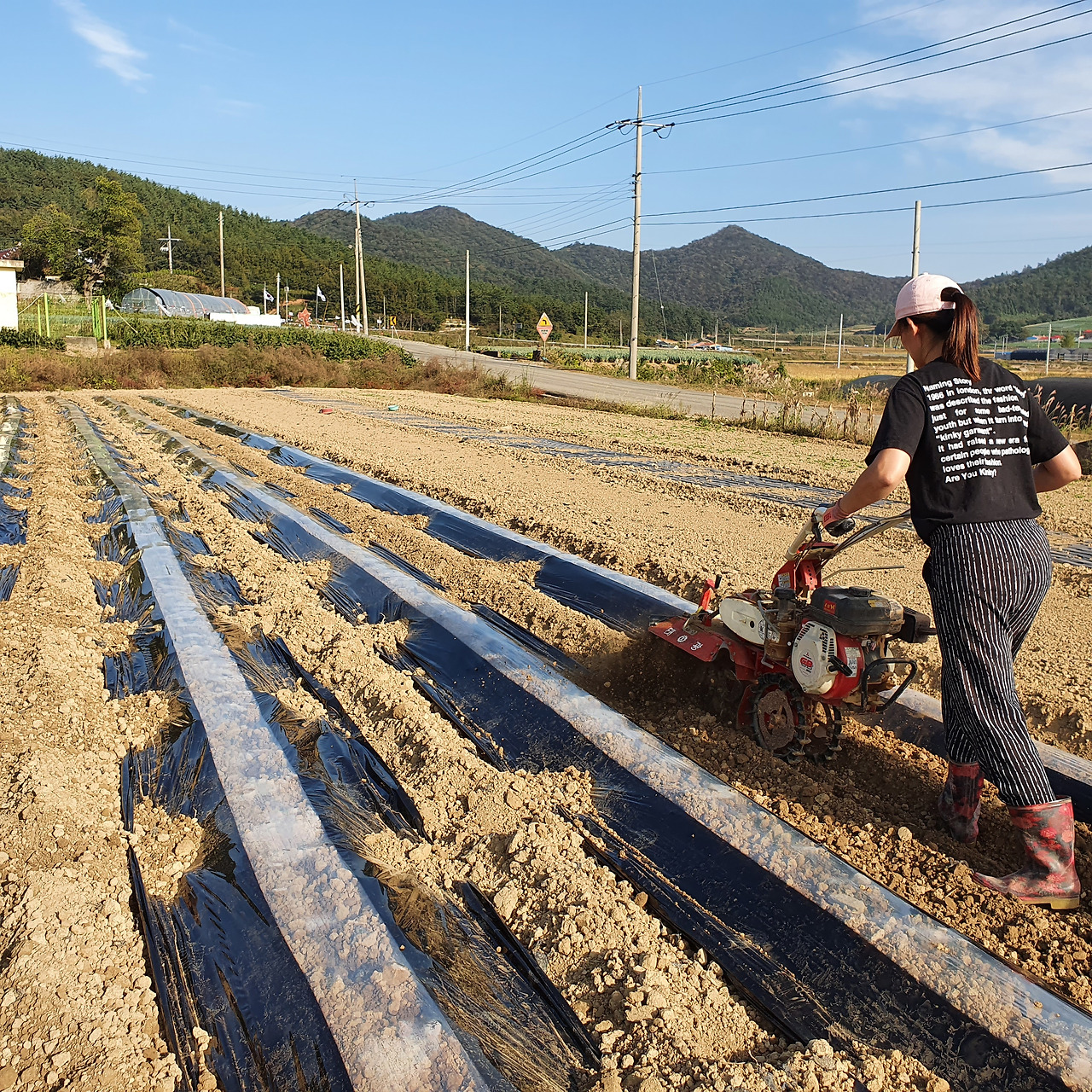 그루 관리기.jpg