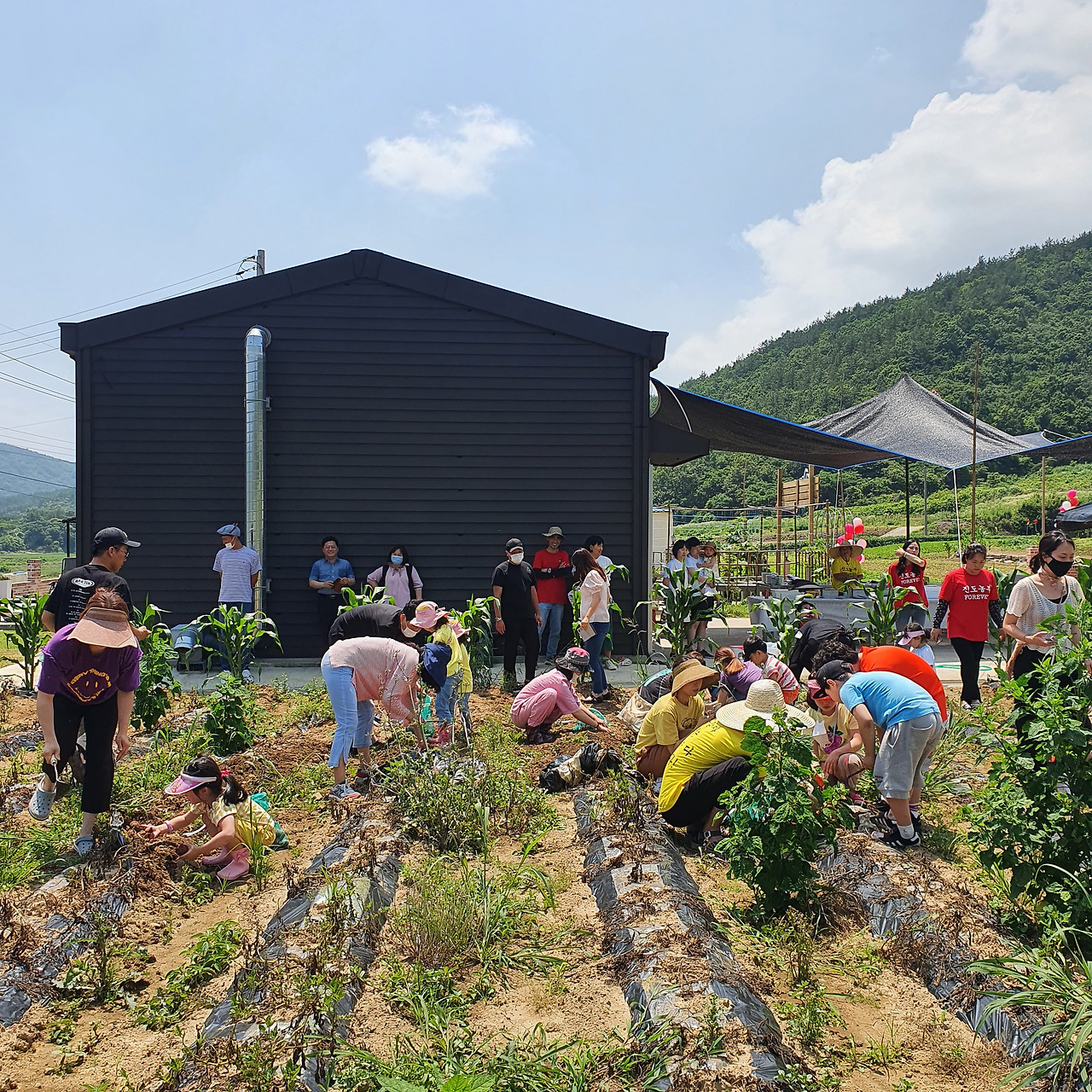 홍감자 팜파티.jpg