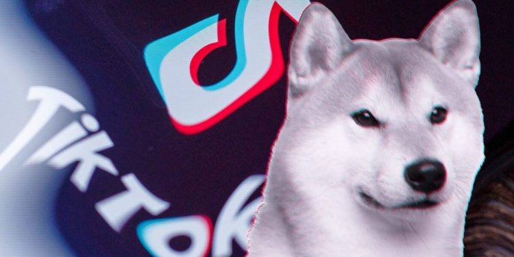 20200708_Tiktok-Dogecoin-1200x675-1-750x375.jpg