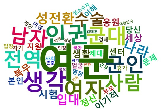 [그림 11] 변희수 하사 복무 의지 보도에 대한 다음 댓글 워드 클라우드.jpg